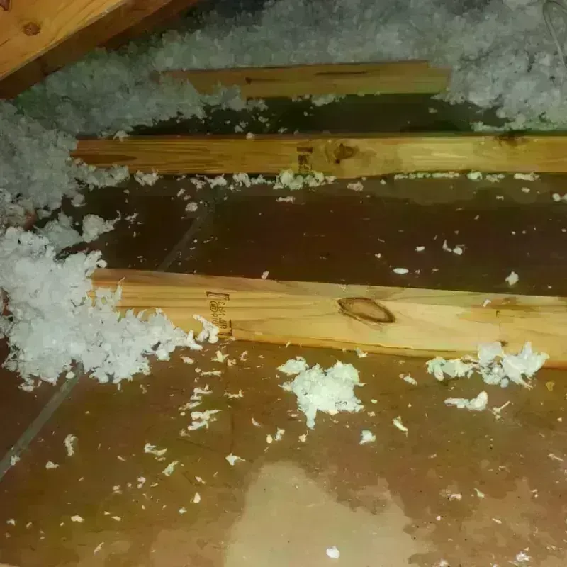 Attic Water Damage in Yanceyville, NC